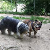 Tiffany und Danny